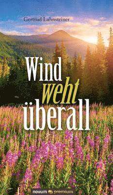 bokomslag Wind weht berall