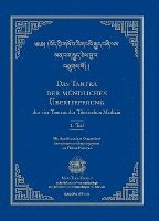 bokomslag Das Tantra der mündlichen Überlieferung der vier Tantras der Tibetischen Medizin 1. Teil.