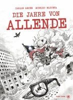 bokomslag Die Jahre von Allende