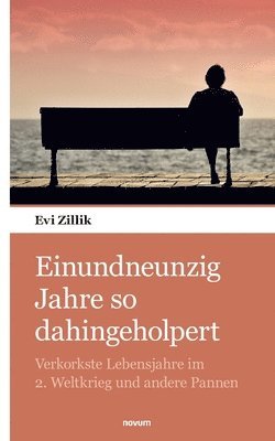 bokomslag Einundneunzig Jahre so dahingeholpert