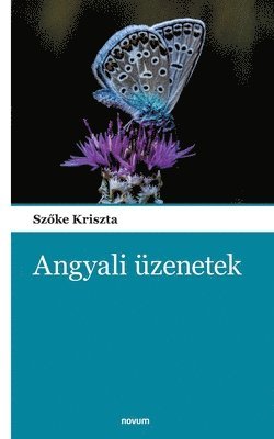 bokomslag Angyali üzenetek
