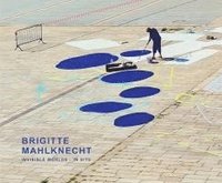 bokomslag Brigitte Mahlknecht Invisible Worlds - in situ