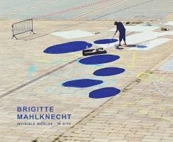 bokomslag Brigitte Mahlknecht Invisible Worlds - in situ