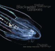 Manfred Wakolbinger - Blackwater Galaxies