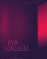 Eva Schlegel