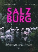 Salzburg 1