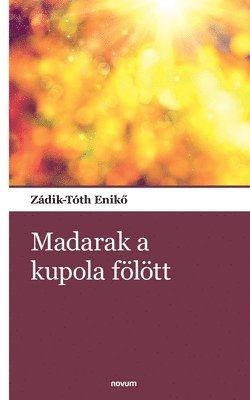 bokomslag Madarak a kupola fölött