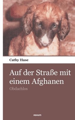 Auf der Straße mit einem Afghanen 1