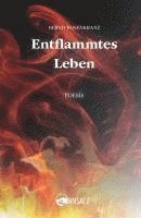 bokomslag Entflammtes Leben