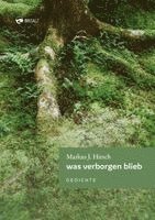 Markus J. Hirsch - was verborgen blieb, Inbunden