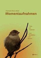 Charlotte Maria Maier - Momentaufnahmen, Inbunden