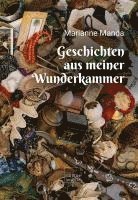 bokomslag Geschichten aus meiner Wunderkammer