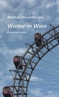 Winter in Wien 1