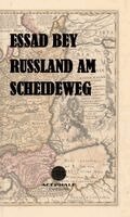 Essad Bey - Russland am Scheideweg, Häftad
