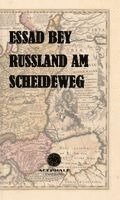 bokomslag Russland am Scheideweg