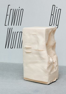 Erwin Wurm 1
