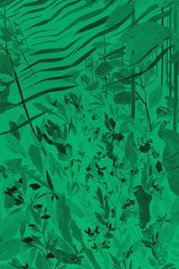 bokomslag David Eisl: Green Screen Weeds and Dreaming Grids