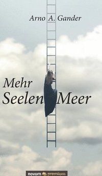 bokomslag Mehr SeelenMeer