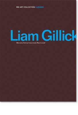 Liam Gillick 1