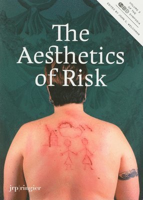 bokomslag The Aesthetics of Risk: v. 3