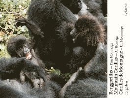 bokomslag Berggorillas - Moutain Gorillas - Gorilles de Montagne