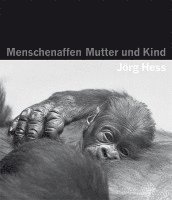 bokomslag Menschenaffen - Mutter und Kind