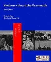 Claudia Ross, Baozhang He, Pei-Chia Chen - Moderne chinesische Grammatik - Übungsbuch, Häftad