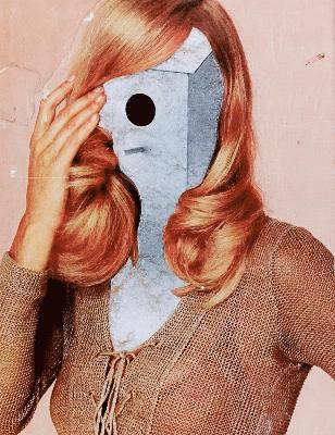 Luca Schenardi - Vogelhäusern mangelt es jedoch nicht, Inbunden