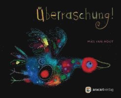 bokomslag Überraschung! - Miniausgabe