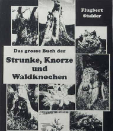 Guggisberg, Anders Guggisberg - Das Grosse Buch der Strunke, Häftad