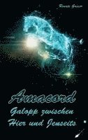 bokomslag Amacord - Galopp zwischen Hier und Jenseits