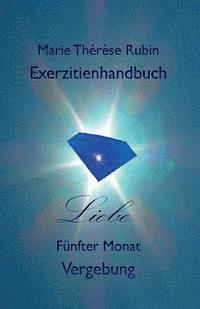 bokomslag Exerzitienhandbuch Liebe: Fünfter Monat: Vergebung