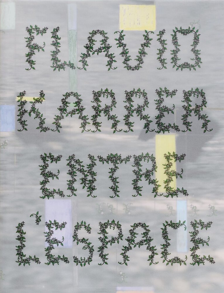 Flavio Karrer - Entre l’espace, Häftad