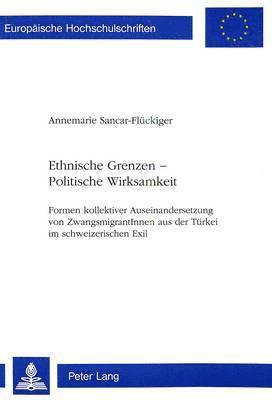 bokomslag Ethnische Grenzen - Politische Wirksamkeit