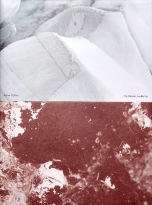 bokomslag Glacier is a Being
