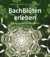 bokomslag Bachblüten erleben