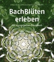 Bachblüten erleben 1