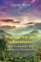 Warum wir uns inkarnieren 1