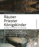 bokomslag Rauber - Priester - Konigskinder: Funde Der Dritten Zwischenzeit