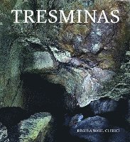 bokomslag Tresminas: Eine Kurze Einfuhrung in Das Romische Goldbergwerk