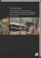 bokomslag The Exploitation, Processing and Use of Softstone in Northern Madagascar and Its Links to the Indian Ocean World, 800-1500 CE