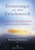 bokomslag Erinnerungen aus dem Zwischenreich