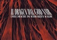 bokomslag Il dragun dal God nair - Der Drache im Schwarzen Walde
