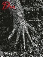 Hommage an Sebastião Salgado