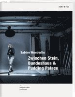 bokomslag Zwischen Stein, Bundeshaus & Pudding Palace