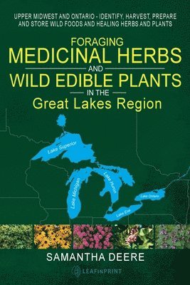 Foraging Medicinal Herbs and Wild Edible Plants in the Great Lakes Region 1