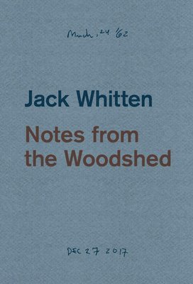 bokomslag Jack Whitten: Notes from the Woodshed