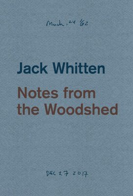 bokomslag Jack Whitten: Notes from the Woodshed