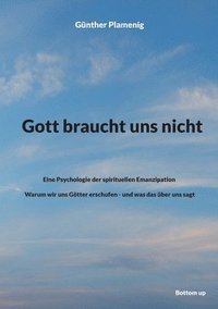 bokomslag Gott braucht uns nicht: Eine Psychologie der spirituellen Emanzipation - Warum wir uns Götter erschufen - und was das über uns sagt