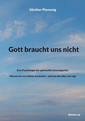bokomslag Gott braucht uns nicht: Eine Psychologie der spirituellen Emanzipation - Warum wir uns Götter erschufen - und was das über uns sagt